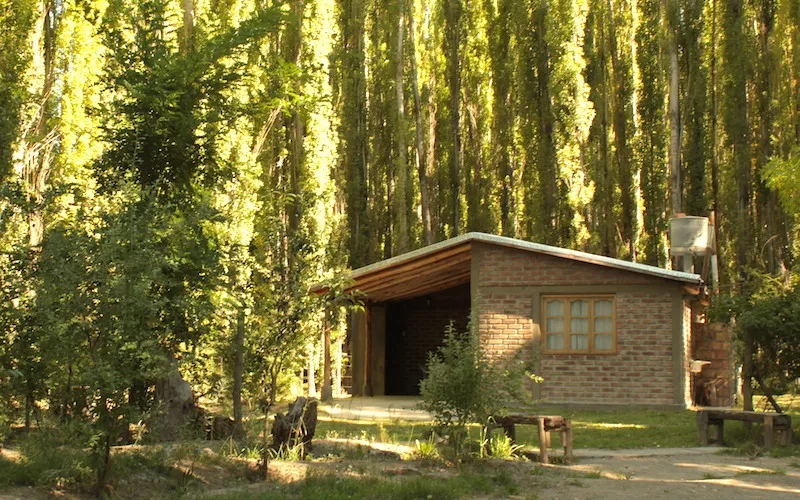Cabaña Gildo rodeada de árboles